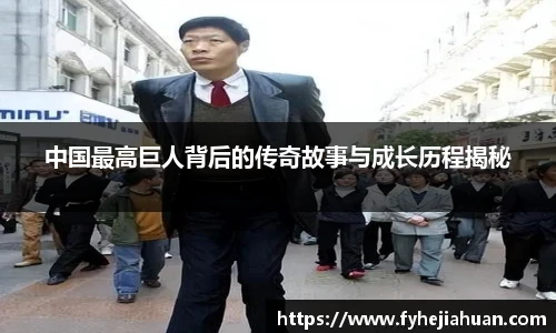 星空体育平台官网入口