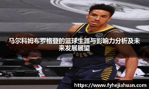 星空体育平台官网入口