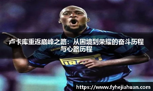 星空·综合体育官网入口