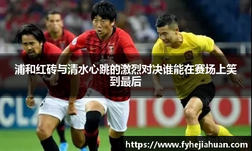 星空体育平台官网入口
